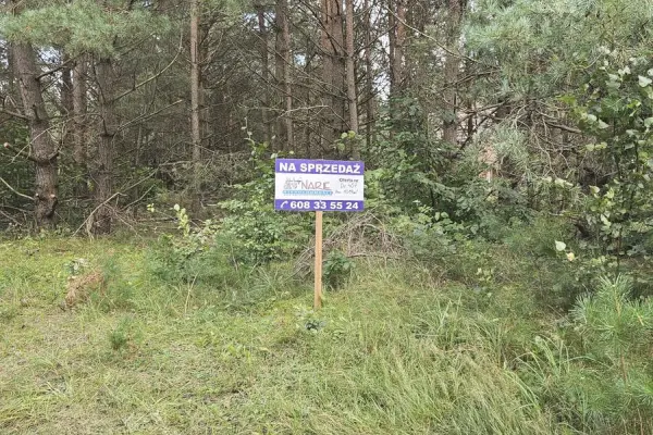 ostródzki, Morąg, Ruś, Działka pod zabudowę letniskową Ruś gm. Morąg