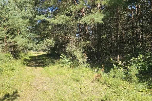 ostródzki, Morąg, Ruś, Działka pod zabudowę letniskową Ruś gm. Morąg