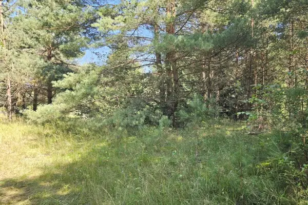 ostródzki, Morąg, Ruś, Działka pod zabudowę letniskową Ruś gm. Morąg