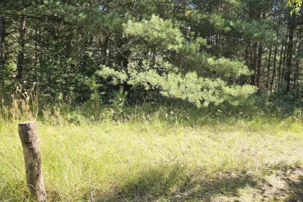 ostródzki, Morąg, Ruś, Działka pod zabudowę letniskową Ruś gm. Morąg