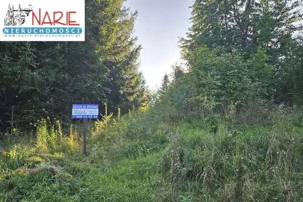 Bogaczewo, Morąg, Działka na sprzedaż