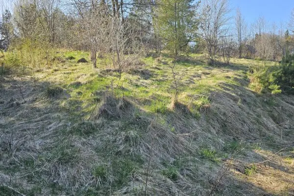 ostródzki, Morąg, Bogaczewo, Działka pod zabudowę letniskową 1500m2 Bogaczewo